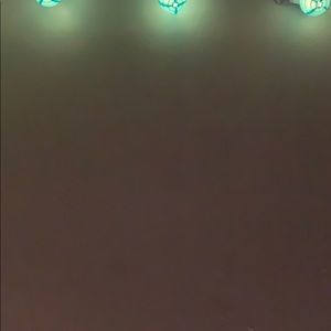 Meet your Posher, Priscilla